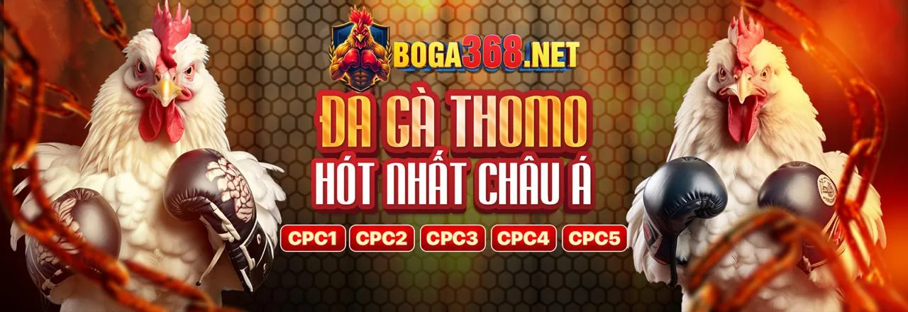 Đá gà cựa sắt