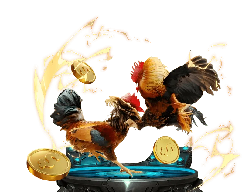 Hình ảnh đá gà trực tuyến tại 18win1